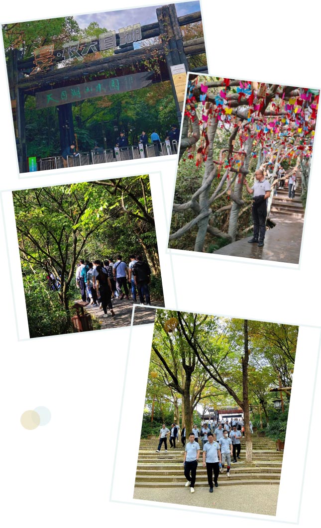 1698817187593010.jpg 02-min.jpg